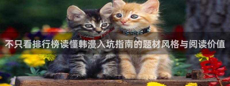 漫画排行榜:不只看排行榜读懂韩漫入坑指南的题材风格与阅读价值